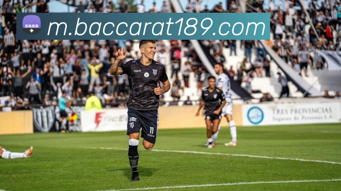 赛事专题整合